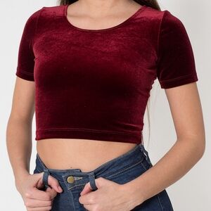 Size S - American Apparel Cabernet Velvet Crop Top